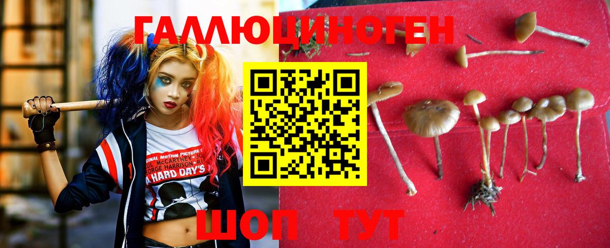 ГАШИШ  Сертолово  Каннабис  Меф кристаллы  ГАШ  Вход с VPN  APVP СОЛЬ  